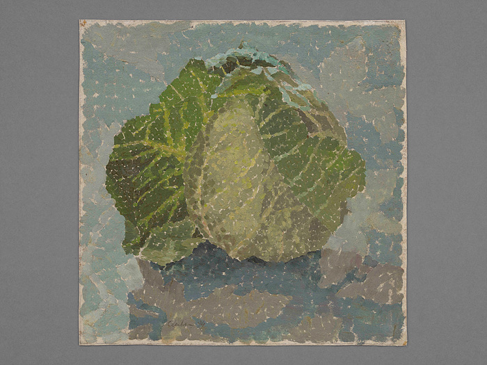 디아나 체플라누, Cabbage, 1994, Oil on canvas, 33×33.1cm(front)