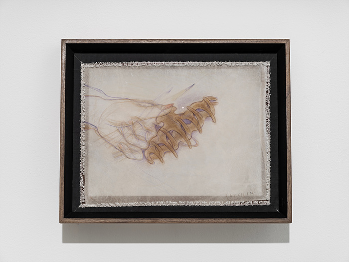 Hair Claw Love Theory: Hold Tight, Leave No Marks, 2024, Watercolor & pastel pencil, walnut ink on silk, artist’s frame, brass hardware, 31.1x38.7x3.8cm. /글래드스톤