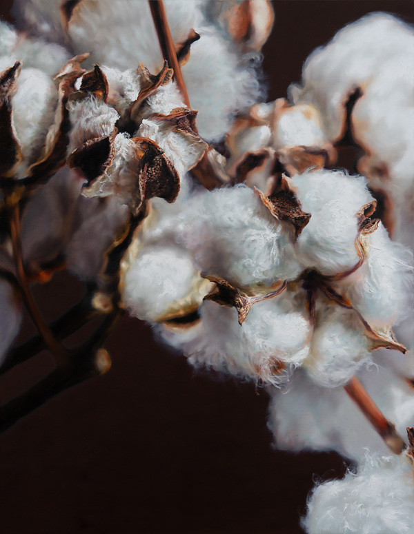 강강훈, Cotton, 2025, Oil on canvas, 116.7×91cm
Courtesy of the artist and Johyun Gallery